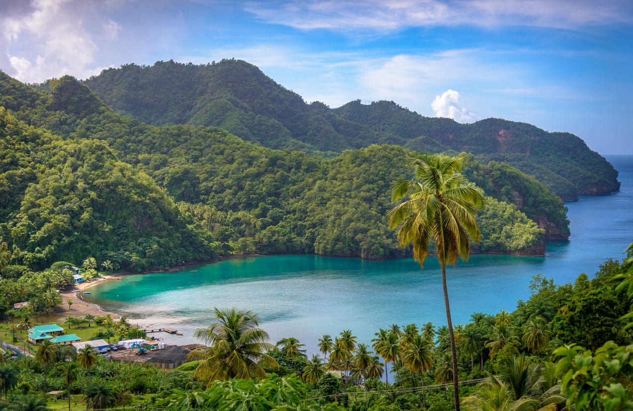 Sea and palm trees in Saint Vincent and the Grenadines, beautiful exotic paradise with mountains and beautiful perfect beaches and colorful turquoise and emerald colored water