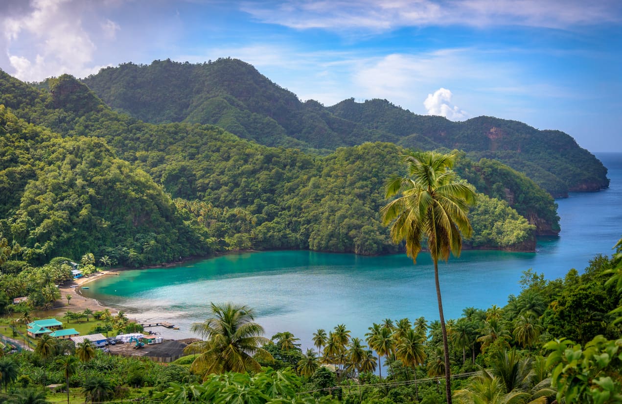 Sea and palm trees in Saint Vincent and the Grenadines, beautiful exotic paradise with mountains and beautiful perfect beaches and colorful turquoise and emerald colored water