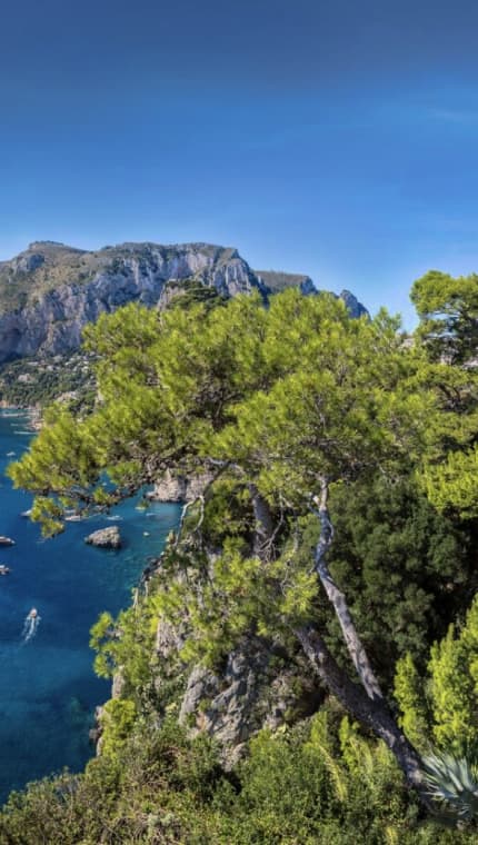 Capri luxury yacht charter