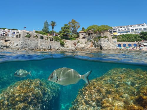 Spain coastal landmark - luxury yacht charter