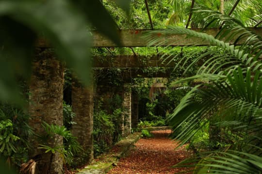 The Retreat Garden Nassau