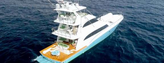 Sales Central Agency Update FLAMINGO DAZE - 92 Ft. (28m) Sea Force IX