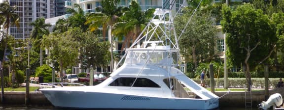 New Worldwide Central Agency: JUST DUCKY - 52 Ft. (16m) Viking