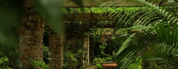 Landscape - The Stunning National Parks of the Bahamas Part 2