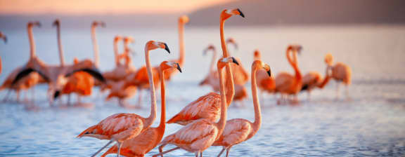 Seascape - The Stunning National Parks of the Bahamas Part 1