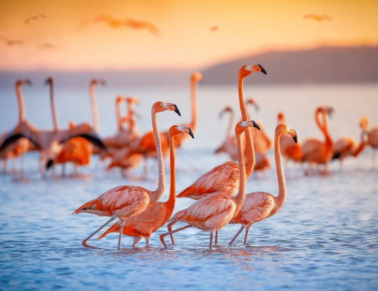 Seascape - The Stunning National Parks of the Bahamas Part 1